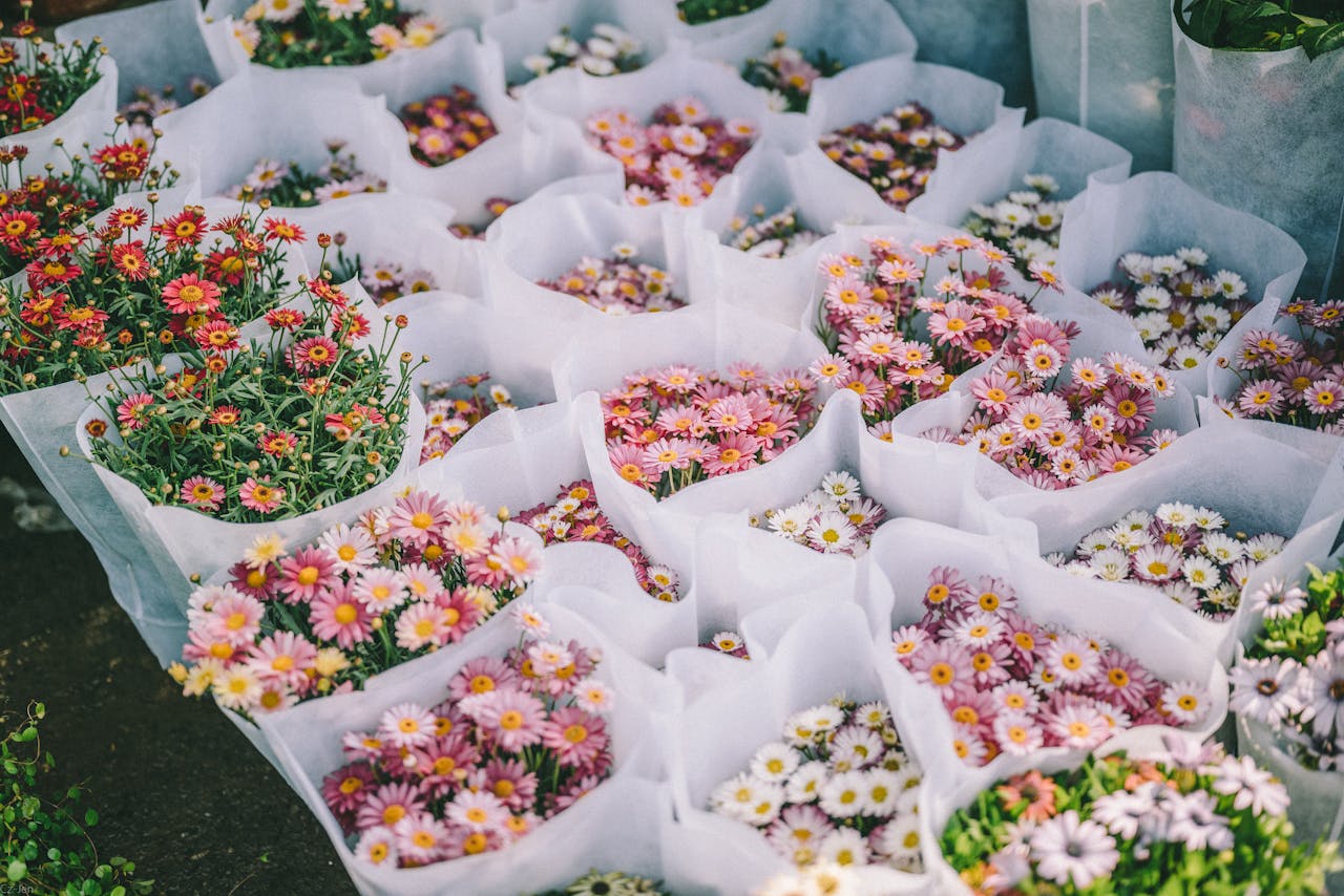 Vibrant display of daisy bouquets wrapped in white paper at a flower market.